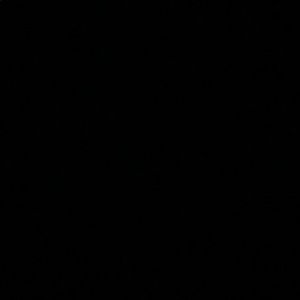 Meet your Posher, Ella